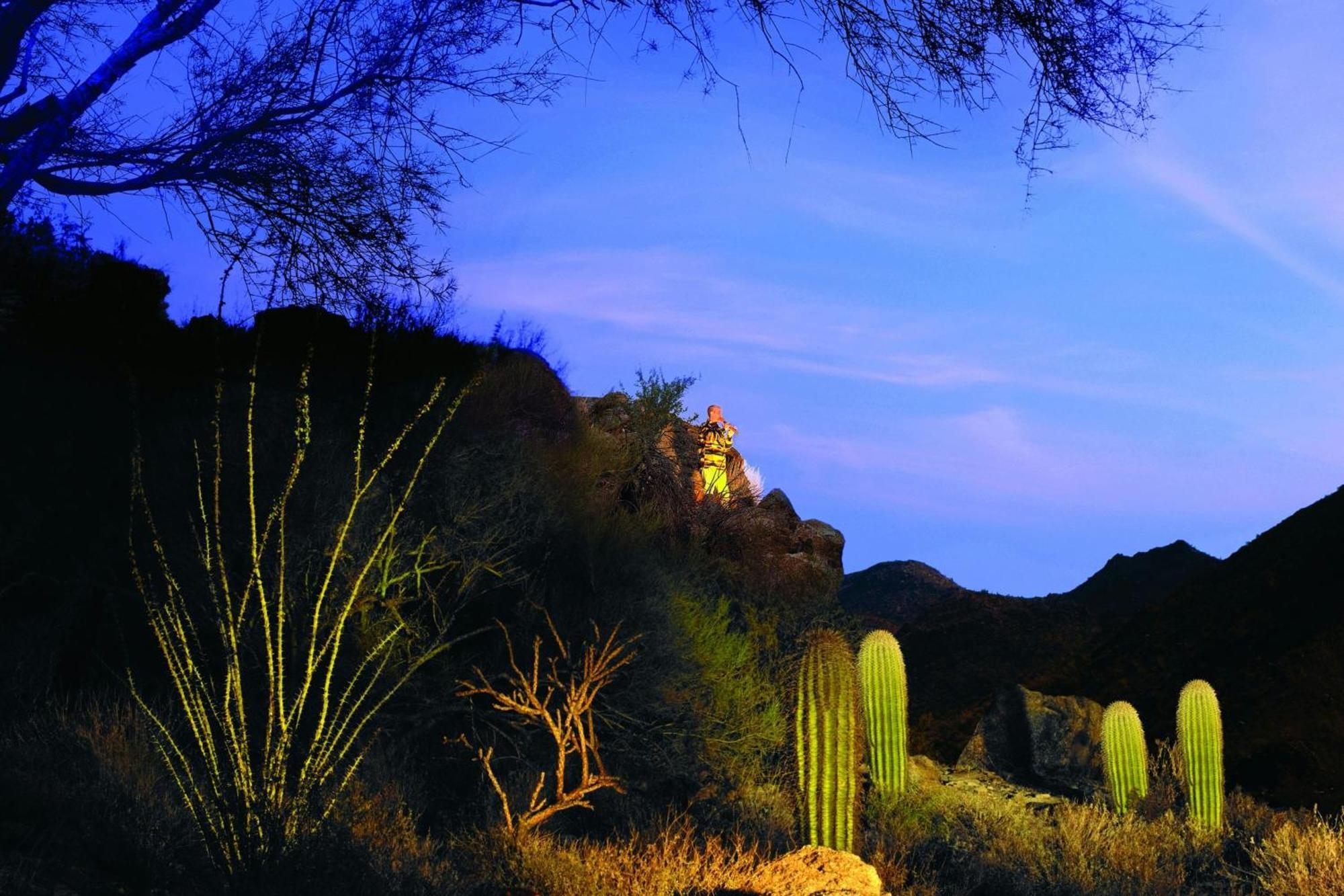 Hotel The Ritz-Carlton, Dove Mountain Marana Zewnętrze zdjęcie